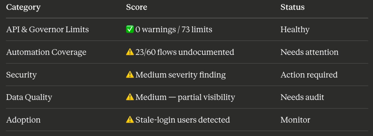 Dark audit output table listing categories, scores, and statuses for API limits, automation coverage, security, data quality, and adoption.